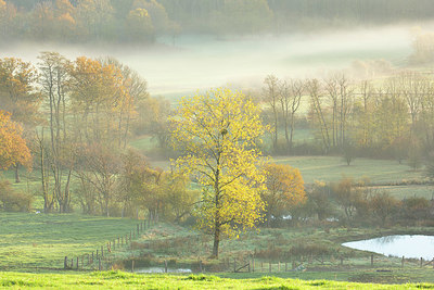 BUITEN BEELD Foto: 366045