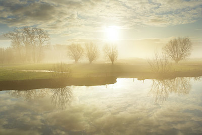 BUITEN BEELD Foto: 366065