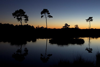 BUITEN BEELD Foto: 366131