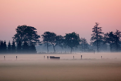 BUITEN BEELD Foto: 366136