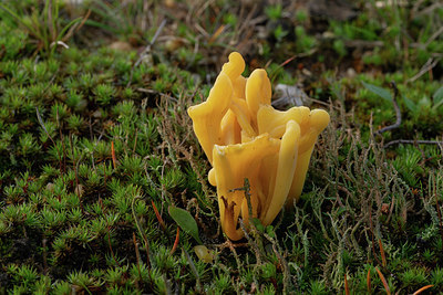 BUITEN BEELD Foto: 366446