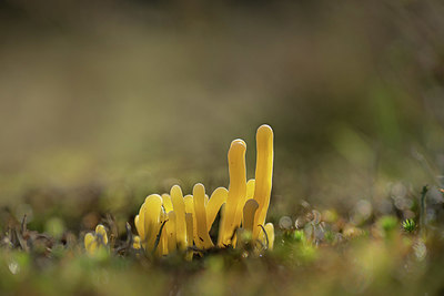 BUITEN BEELD Foto: 366448