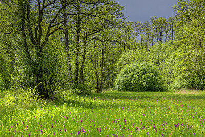 BUITEN BEELD Foto: 366898