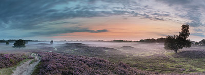 BUITEN BEELD Foto: 366900
