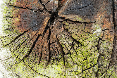 BUITEN BEELD Foto: 366951
