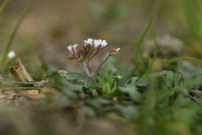 BUITEN BEELD Foto: 366988