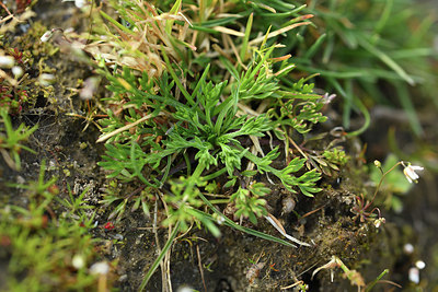 BUITEN BEELD Foto: 367014