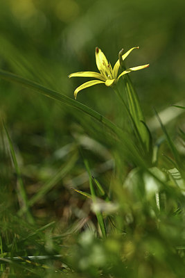 BUITEN BEELD Foto: 367250