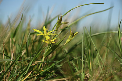 BUITEN BEELD Foto: 367264