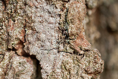 BUITEN BEELD Foto: 367294