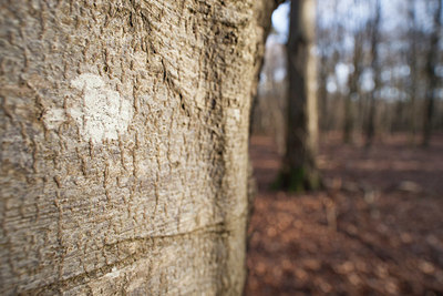 BUITEN BEELD Foto: 367300