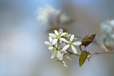 BUITEN BEELD Foto: 367367