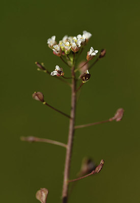 BUITEN BEELD Foto: 367369