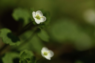 BUITEN BEELD Foto: 367370