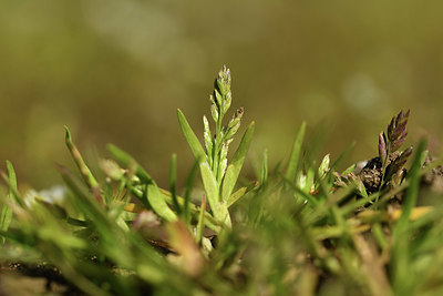 BUITEN BEELD Foto: 367391