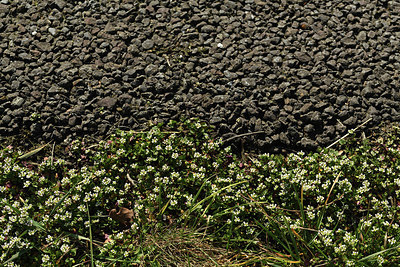 BUITEN BEELD Foto: 367742