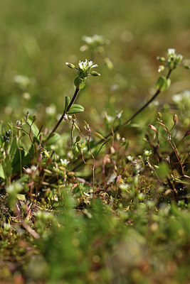 BUITEN BEELD Foto: 367751