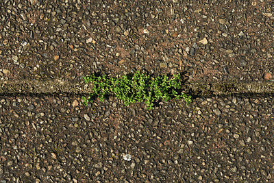 BUITEN BEELD Foto: 367761