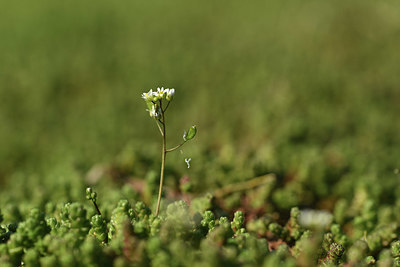 BUITEN BEELD Foto: 367774
