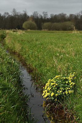 BUITEN BEELD Foto: 367969