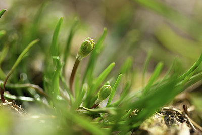 BUITEN BEELD Foto: 367971