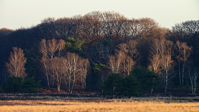 BUITEN BEELD Foto: 368000