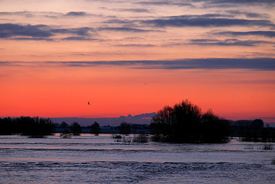 BUITEN BEELD Foto: 368405