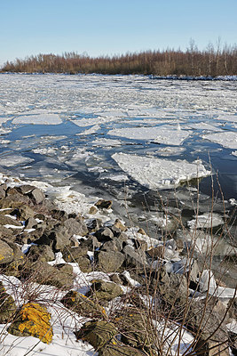 BUITEN BEELD Foto: 368412