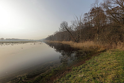 BUITEN BEELD Foto: 368417