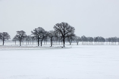 BUITEN BEELD Foto: 368424