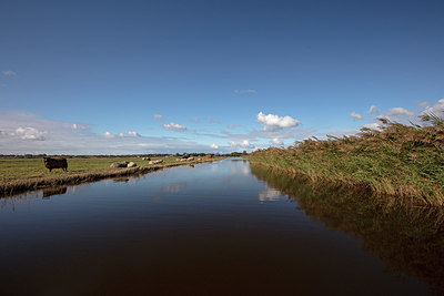 BUITEN BEELD Foto: 368440