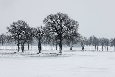 BUITEN BEELD Foto: 368466