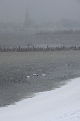 BUITEN BEELD Foto: 368579