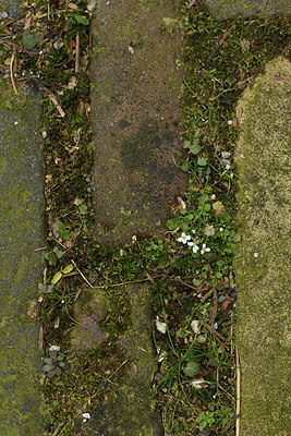 BUITEN BEELD Foto: 368720
