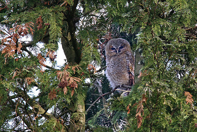 BUITEN BEELD Foto: 368808