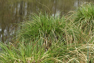 BUITEN BEELD Foto: 368844