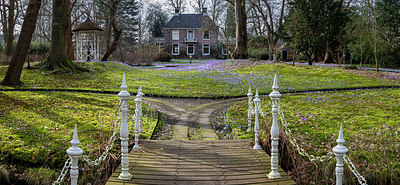 BUITEN BEELD Foto: 368978