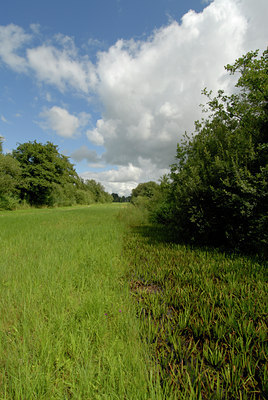 BUITEN BEELD Foto: 36112