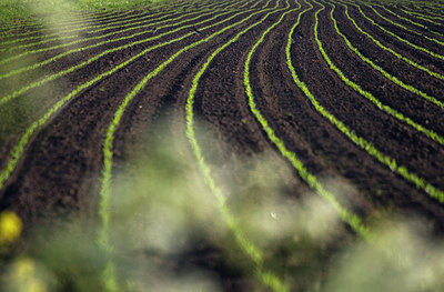 BUITEN BEELD Foto: 36120