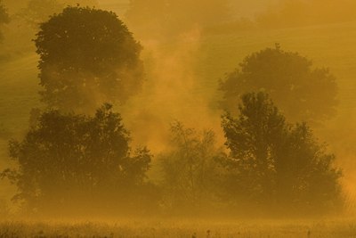 BUITEN BEELD Foto: 36122