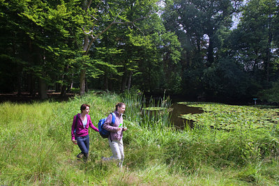BUITEN BEELD Foto: 36142