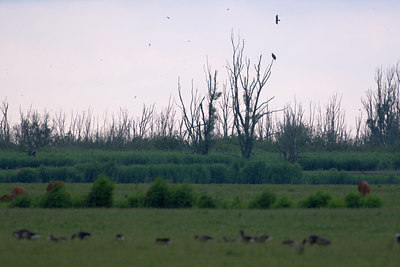 BUITEN BEELD Foto: 36202