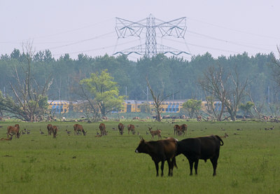BUITEN BEELD Foto: 36204