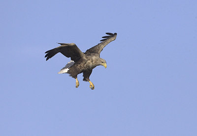 BUITEN BEELD Foto: 36220