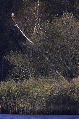 BUITEN BEELD Foto: 36241