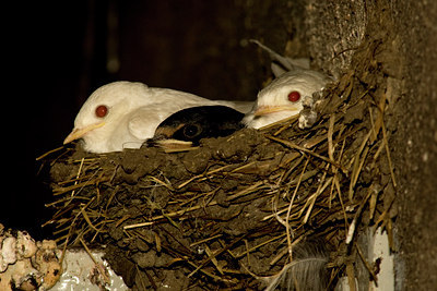 BUITEN BEELD Foto: 36269