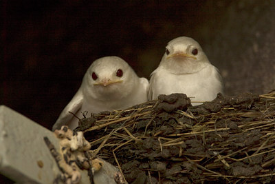 BUITEN BEELD Foto: 36276