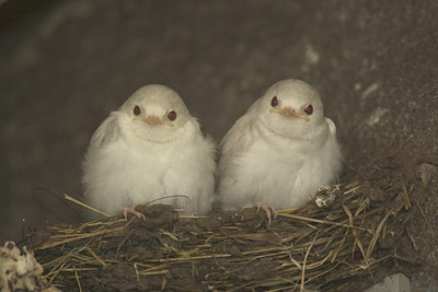 BUITEN BEELD Foto: 36278