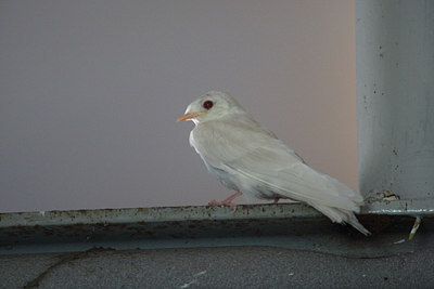BUITEN BEELD Foto: 36280