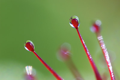 BUITEN BEELD Foto: 36378